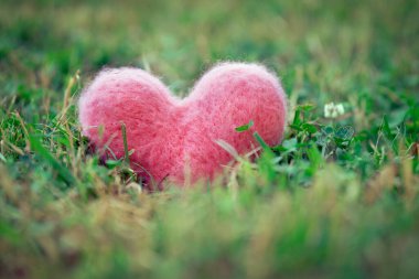 Yazın yeşil çimlerin üzerinde pembe yünlü kalp.