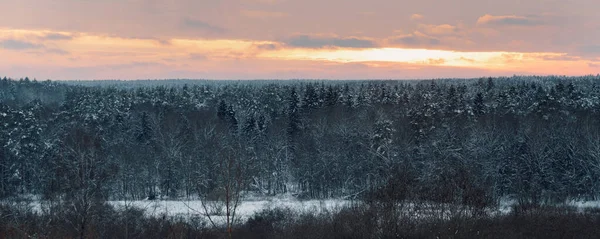 Paisaje Con Bosque Coníferas Invierno Con Cielo Rojo Atardecer — Foto de Stock