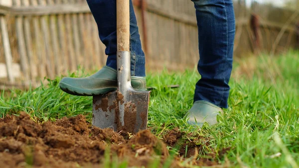 Graven van de grond met een spade — Stockfoto