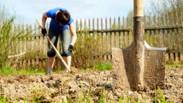 Spade steken in de aarde met een vrouw die werkt op de achtergrond — Stockfoto