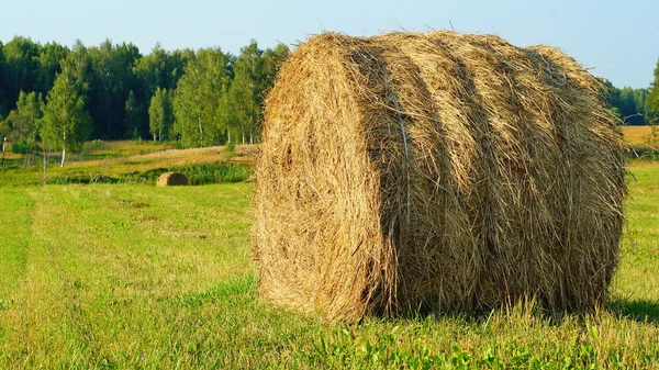 Hay bale — Fotografie, imagine de stoc