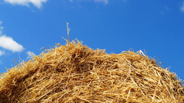 Mavi gökyüzü arka plan üzerinde saman