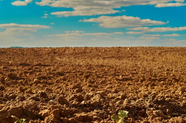 Vers gegraven landbouwgebied — Stockfoto