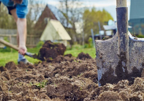 Cultivation of the garden beds — Stock Photo, Image