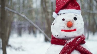 kardan adam kış ormandaki