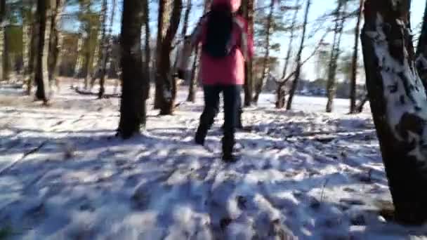 Femme courant à travers la forêt — Video