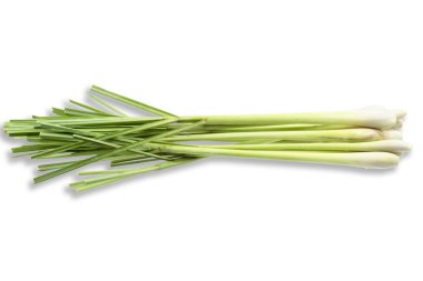 Beyaz arka plan üzerinde ile izole taze limon otu (citronella)