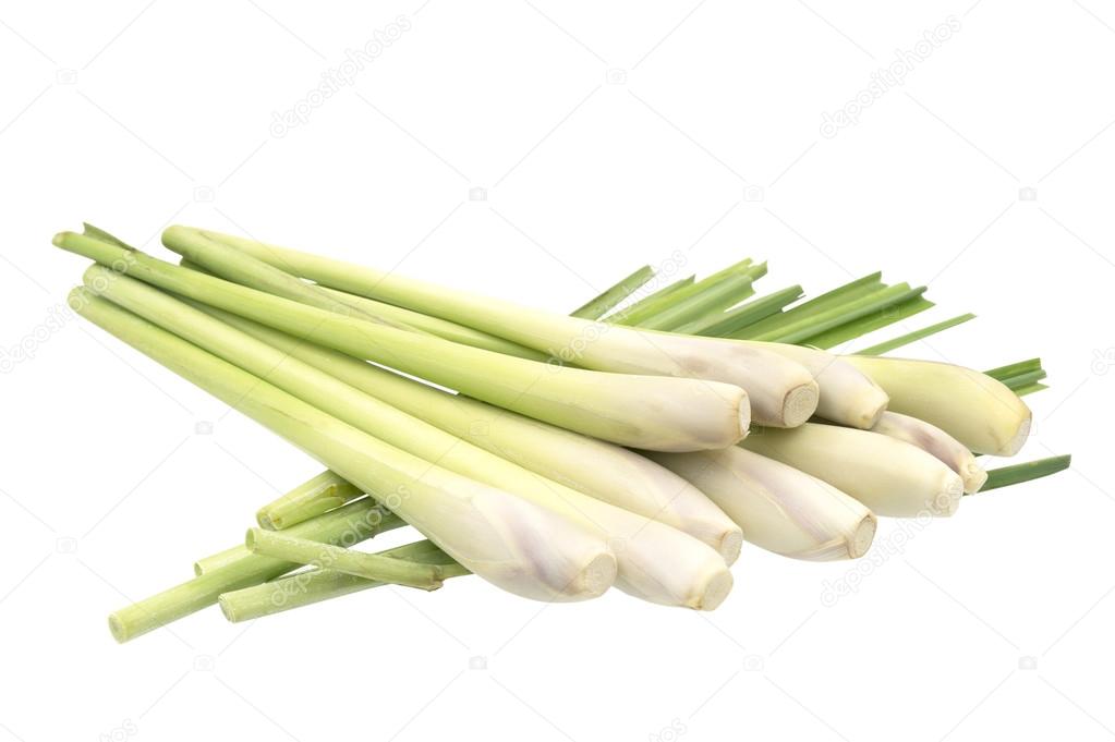 Fresh Lemongrass (citronella) isolated on white background, with Stock