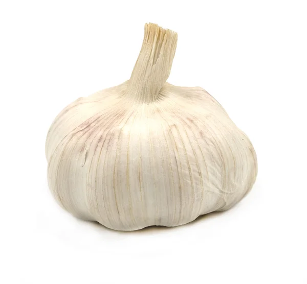 Garlics isolato su bianco — Foto Stock