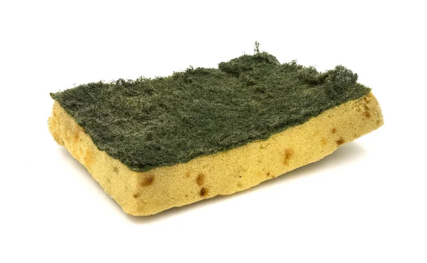 Old kitchen sponge on white background. — Stock Photo, Image