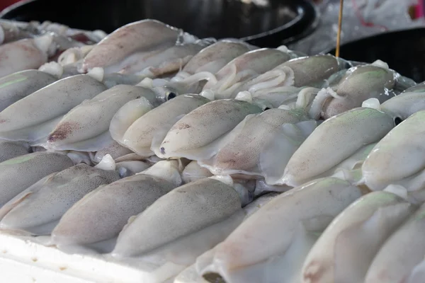 Fresh Squid lay on Tray — Stock Photo, Image