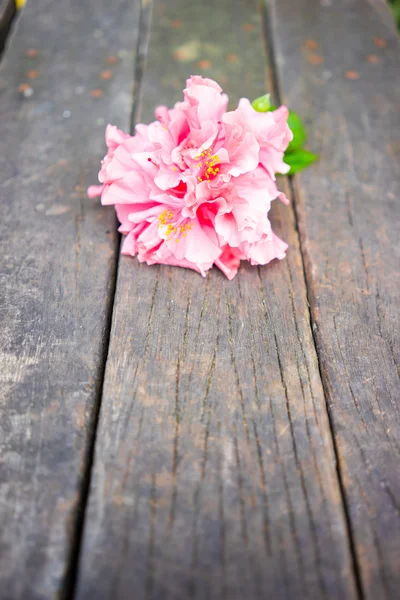 木材の背景にピンクのハイビスカスの花と葉します。. — ストック写真