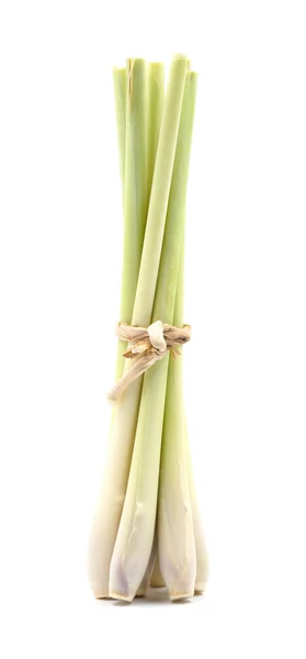 Lemongrass slice (citronella) on white background. — Stock Photo, Image