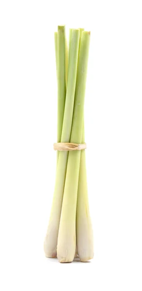 Lemon grass  on white background. — Stock Photo, Image