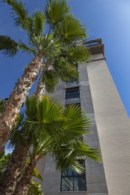 Etrafında palmiye ağaçları olan bir binanın camları olan beyaz ve gri bir cephe. Arka planda açık mavi gökyüzünü görebilirsiniz. En üstte camlı ve camlı tavan arası var..