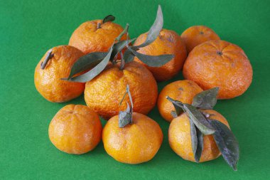 Çince altın külçesinden çeşitli portakallar yeşil arka planda yan yana yerleştirilmiş. Turunçgillerin yeşil yaprakları vardır..