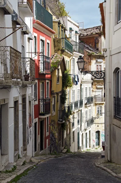 Gator i Lissabon — Stockfoto