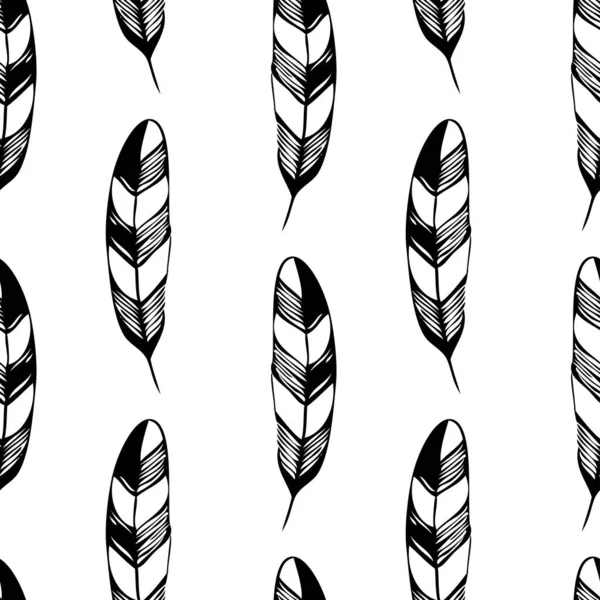 Kuş tüyü ya da eski bir tüy kalem desenli dikişsiz siyah beyaz vektör.