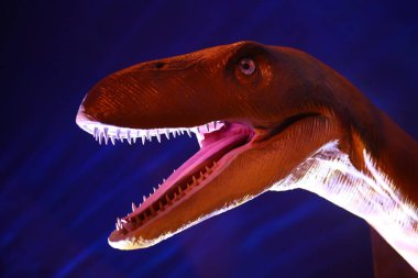 Plastik bir dinozor kafasının profil resmi 