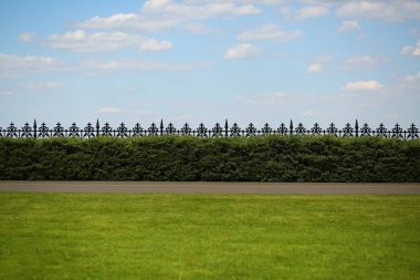 Taze kesilmiş baharın, yeşil çitlerin ve işlenmiş metal çitlerin birleşiminden oluşan minimalist bir manzara.