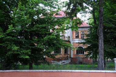 Ağaçların arasında terk edilmiş eski bir ev