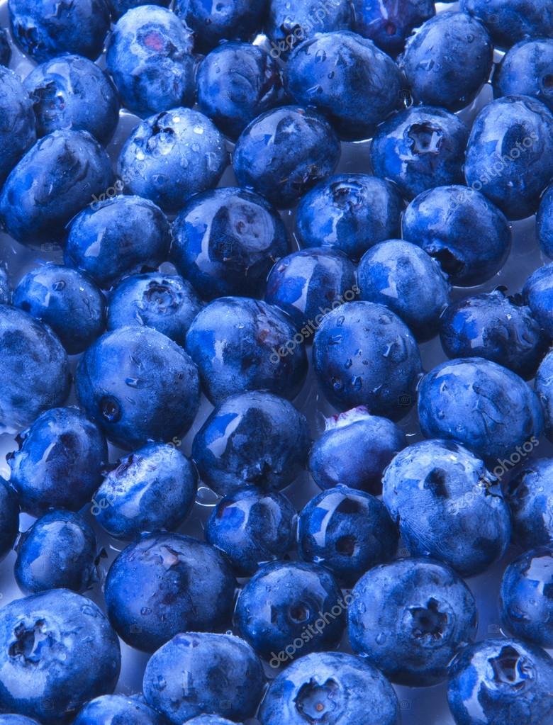 que son los arandanos azules