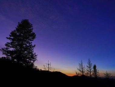 Muhteşem günbatımı gökyüzü ağaçların silueti, dağlarda günbatımı manzarası 