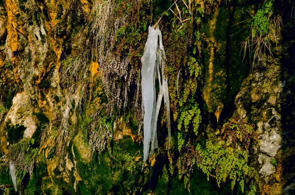 Close View Icicle Rock Moss Lichen Shade — Stock Photo, Image