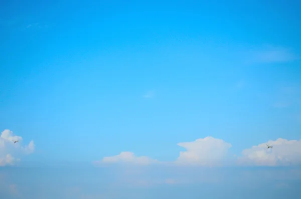 Trollsländor i den blå himlen — Stockfoto