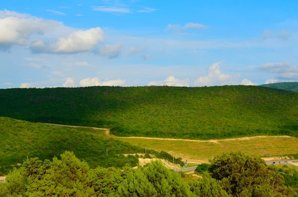 Dağlardaki orman