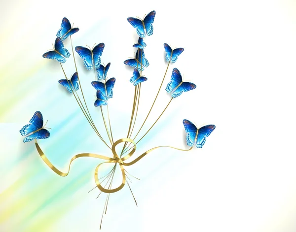 Bouquet di farfalle su sfondo bianco — Foto Stock