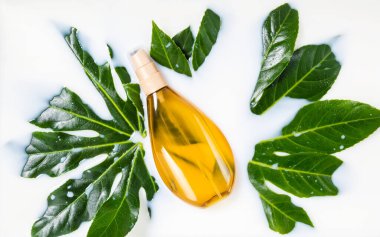 Yağ ya da jöle şişesi, greyfurt ve portakal dilimleriyle süt suyunda modellenir. Organik narenciye kozmetiği. Güzellik spa 'sı, vitamin tedavisi. Meyve cilt bakımı kozmetik ürünleri. Tazelik ve gençlik