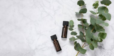 Okaliptüslü bayrak esaslı yağ şişeleri ve mermer zemin üzerinde taze okaliptüs dalı. Cilt bakım ürünleri için doğal kozmetik malzemeler. Spa, sağlık ve rahatlama. Üst görünüm, alanı kopyala