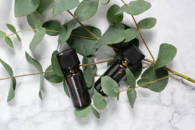 İki kehribar okaliptüs şişesi esaslı yağ ve mermer zemin üzerinde taze okaliptüs dalı. Cilt bakım ürünleri için doğal kozmetik malzemeler. Spa, sağlık ve rahatlama. Üst görünüm, alanı kopyala