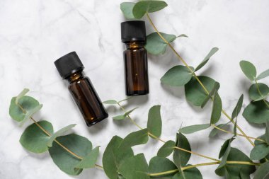 Okaliptüs esaslı yağ şişeleri ve mermer zemin üzerinde yaprakları olan taze okaliptüs dalı. Doğal cilt bakım ürünleri. Spa, sağlık ve rahatlama konsepti. Üst görünüm