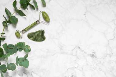 Yüz masajı için yeşil yeşim taşı ve gua sha taşı ve mermer arka planda okaliptüs dalı. Ev güzelliği aksesuarları. Yaş karşıtı kırışıklık tedavisi için yüz silindiri. Üst görünüm, alanı kopyala