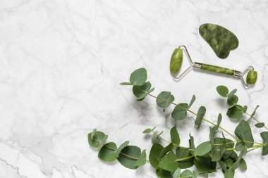 Yüz masajı için yeşil yeşim taşı ve gua sha taşı ve mermer arka planda okaliptüs dalı. Ev güzelliği aksesuarları. Yaş karşıtı kırışıklık tedavisi için yüz silindiri. Üst görünüm, alanı kopyala