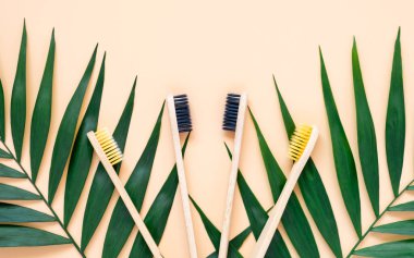 Çevre dostu bambu diş fırçaları ve pastel bej arka planda yeşil palmiye yaprakları. Plastiksiz diş bakımı ürünü olarak doğal ahşap diş fırçaları. Sıfır atık, sürdürülebilir yaşam tarzı kavramı
