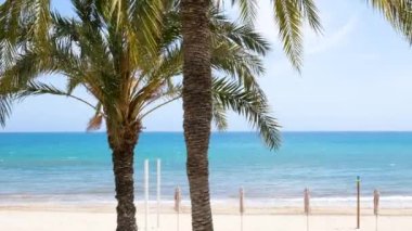 İspanya 'nın Alicante kentindeki Playa del Postiguet' te, boş kumsal ve Akdeniz önünde rüzgarda sallanan iki palmiye ağacı. Costa Blanca bölgesi. Huzurlu atmosferi olan tropik cennet