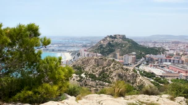 Widok na miasto Alicante, port, morze i zamek Santa Barbara na górze Benacantil z góry Serra Grossa. Conifer drzewo trzęsie się na wietrze z przodu. Samochody poruszające się po drogach. Region Costa Blanca w Hiszpanii — Wideo stockowe