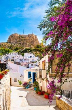 Alicante eski kasaba ve Santa Barbara Kalesi. Beyaz evleri ve mor çiçekleri olan dar sokaklar eski komşuları El Barrio veya Casco Antiguo Santa Cruz, İspanya 'nın Costa Blanca bölgesinde..