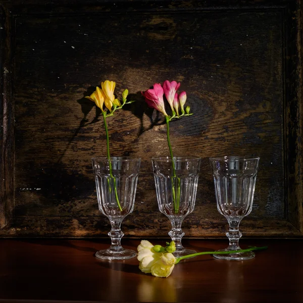 Flor de freesia amarilla sobre fondo de madera — Foto de Stock