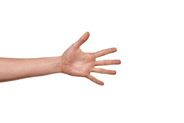 人間の手の 5 本の指 — ストック写真