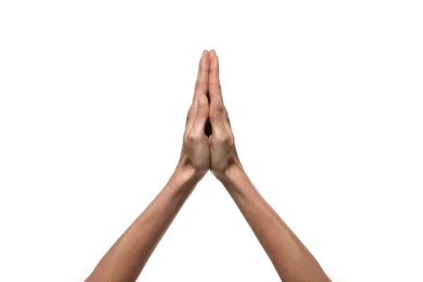 Hands praying isolated on white — Stock Photo, Image
