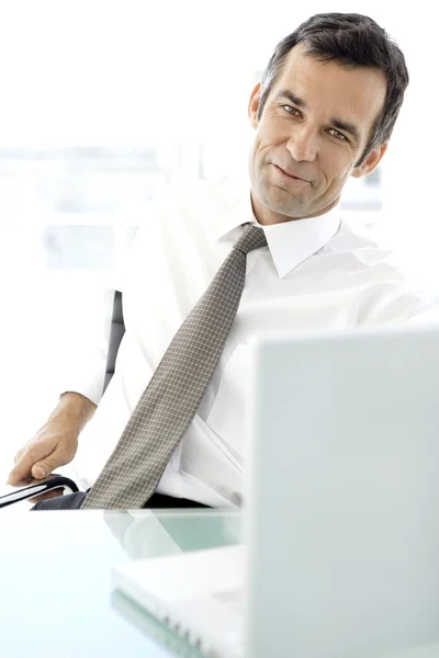 Business Executive Officer — Stock Photo, Image