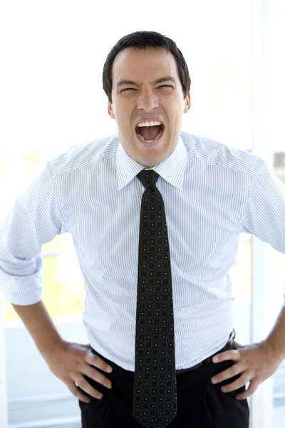 Portretul unui om de afaceri entuziasmat — Fotografie, imagine de stoc