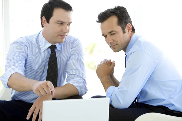 Zakelijke partners die op laptop werkt — Stockfoto