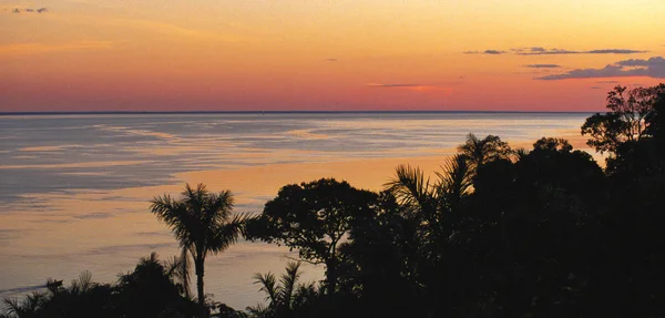 Río Amazonas al amanecer — Foto de Stock