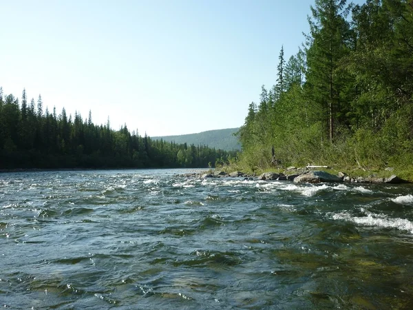 Landscape, river — Stock Photo, Image