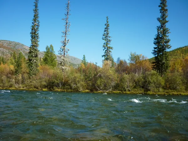 Paisaje, Río — Foto de Stock